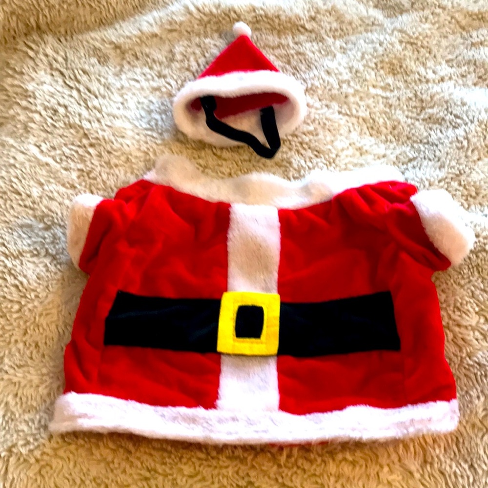 Dog Santa outfit with stocking hat